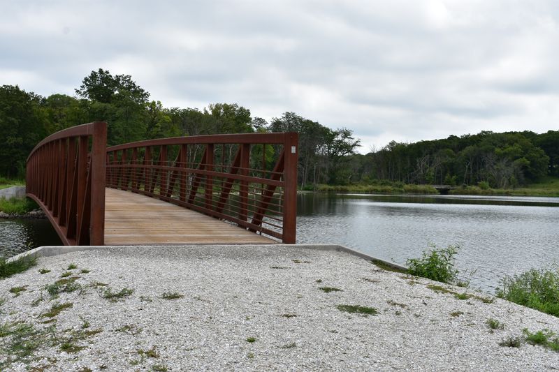 Selecting The Right Bait For Summer Fish