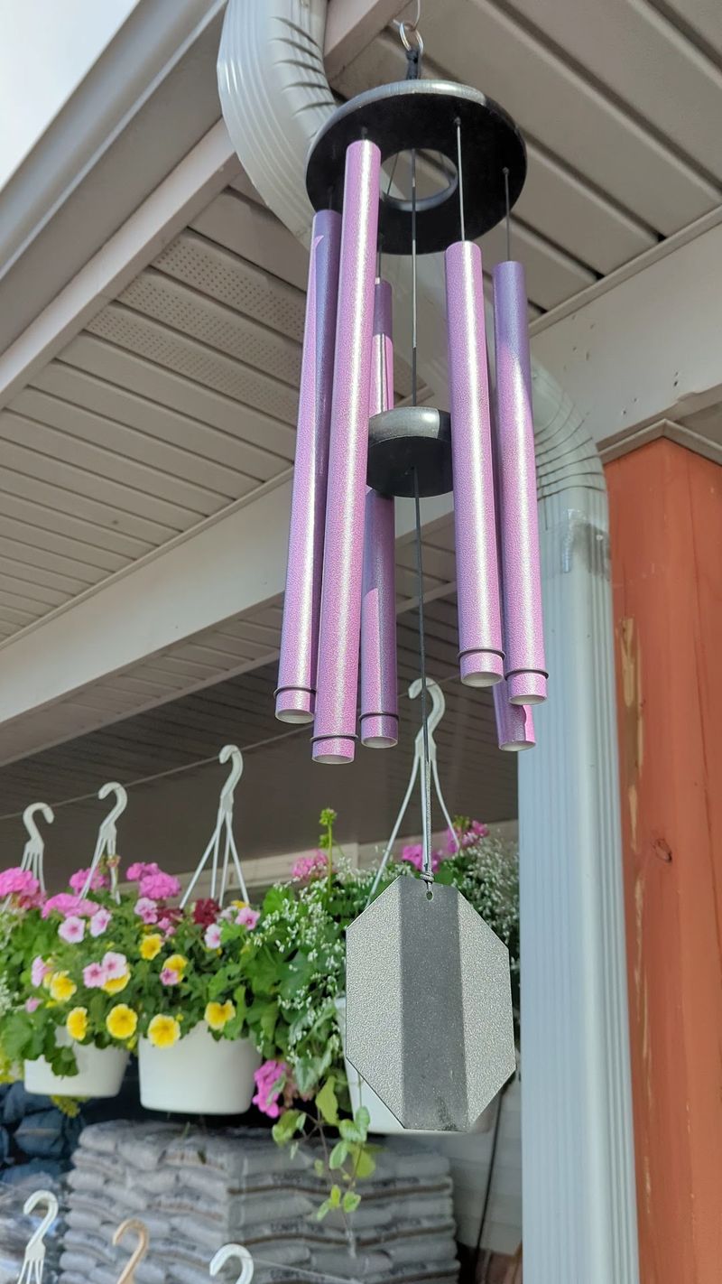 Flowers, Hanging Baskets And Garden Finds In Spring