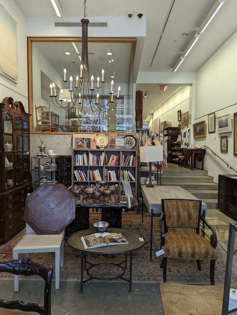 Themed Collections That Keep Every Visit Feeling New