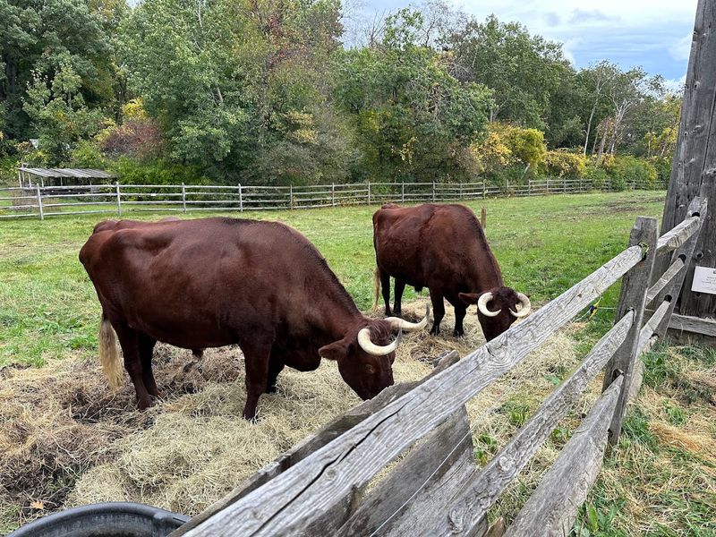 The Agricultural Fair And Special Events Calendar