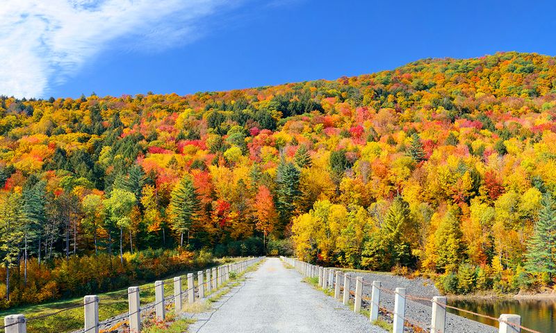 The Scenic Byway Drive