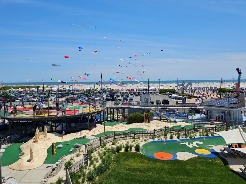 Wildwood