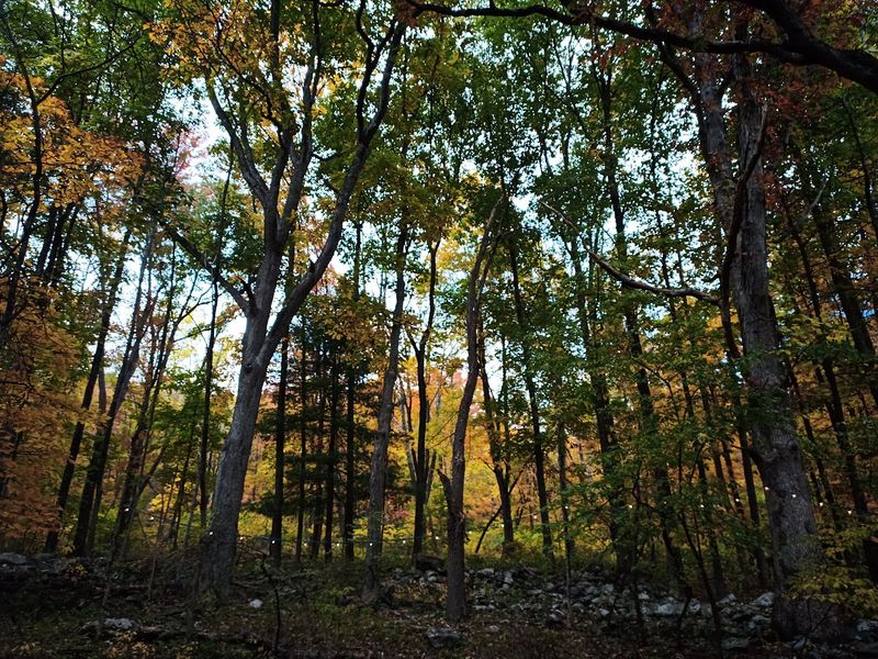 Trails, High Point, And The Appalachian Trail Next Door