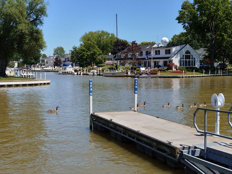Green Space Along The Vermilion River