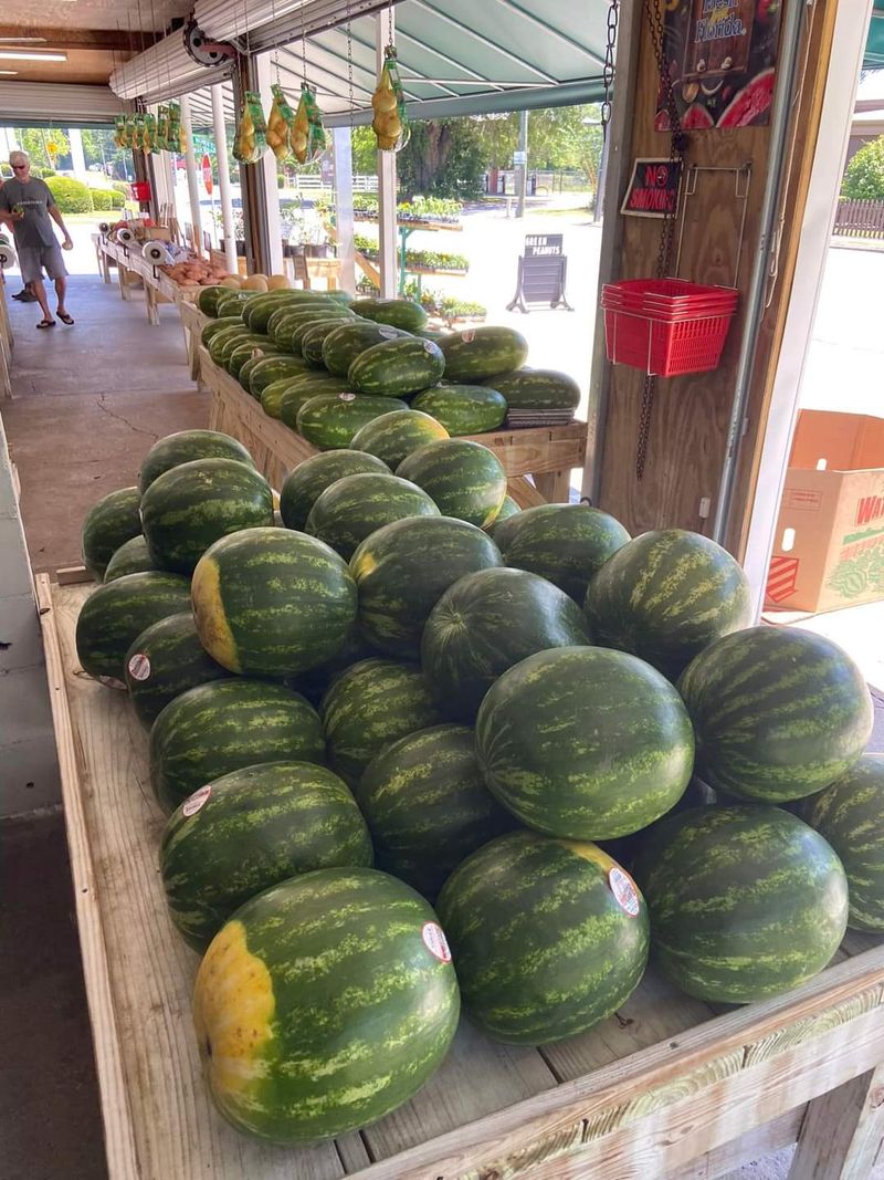Farm Days And Watermelons