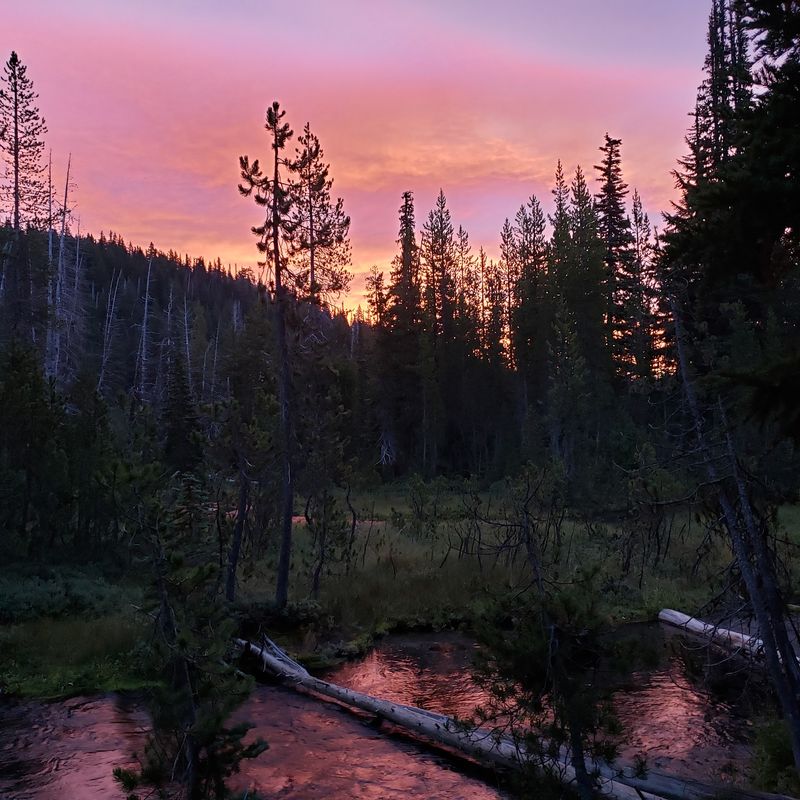 Tent Camping Under Stars
