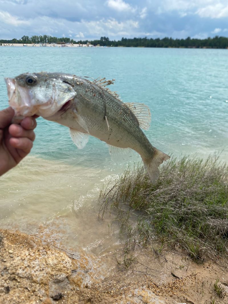 Fishing In Surprisingly Productive Waters