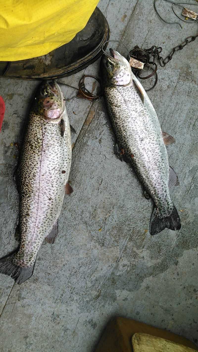 Fishing Year-Round Here