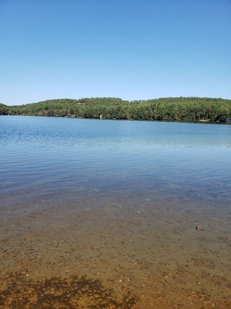 Trout, Salmon, And Bass Below The Surface