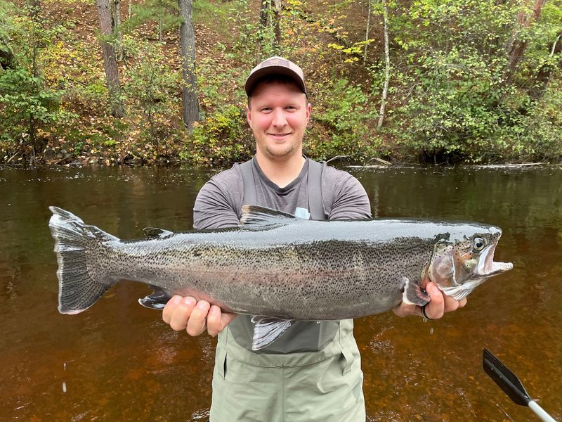 Legendary Trout And Salmon Water