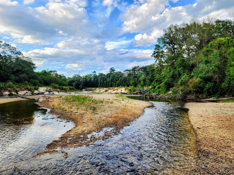 Bell Creek - DeSoto National Forest