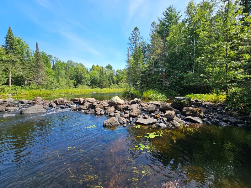 Sounds Of The North Woods Take Over
