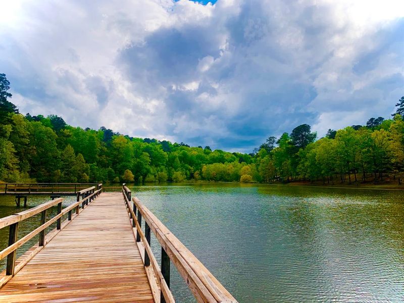 Smart, Natural Ways To Enjoy Mississippi Bite-Free