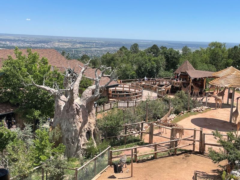 Sky Ride Above The Animals