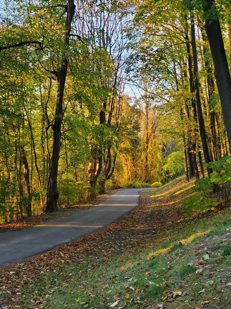 Trails Worth Every Step