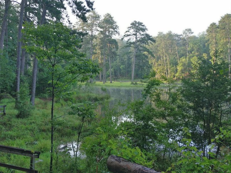 How Seasonal Shifts Affect Water And Surroundings