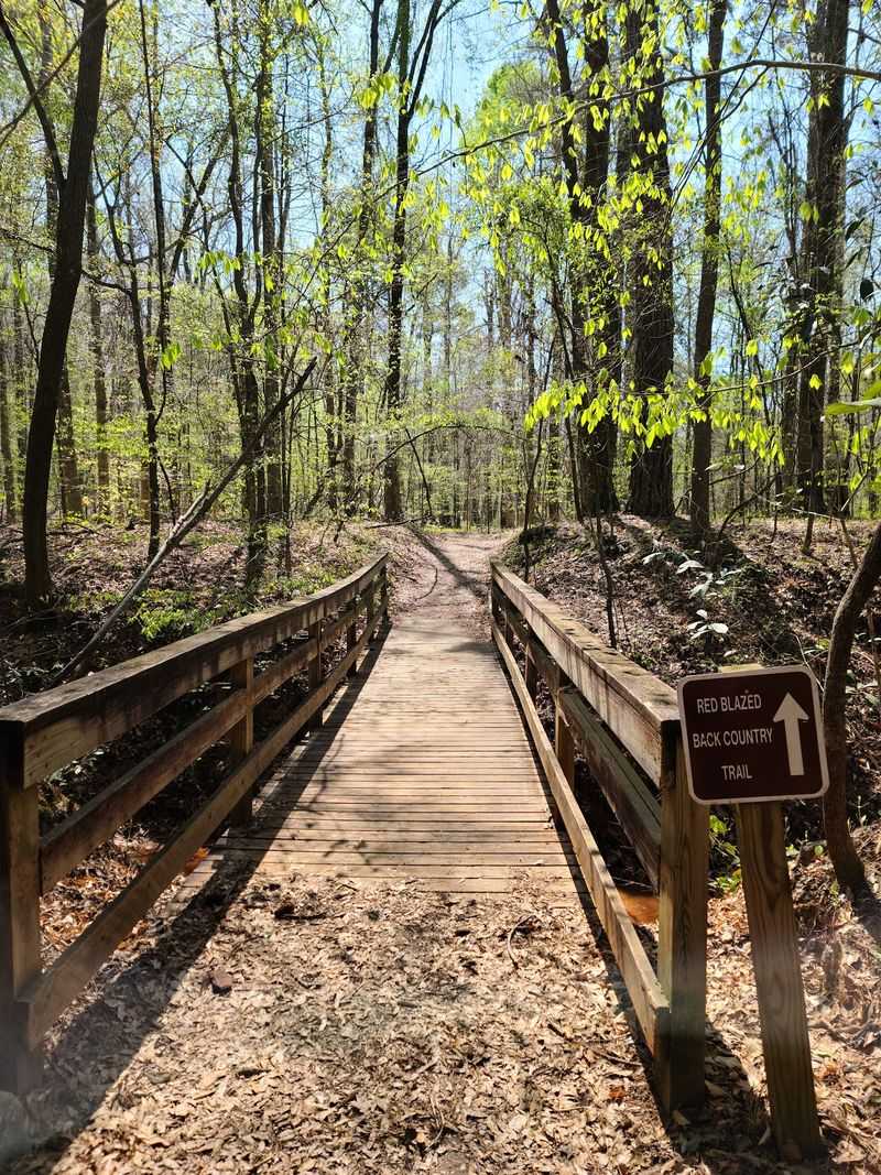 Conservation Efforts Protecting The Site
