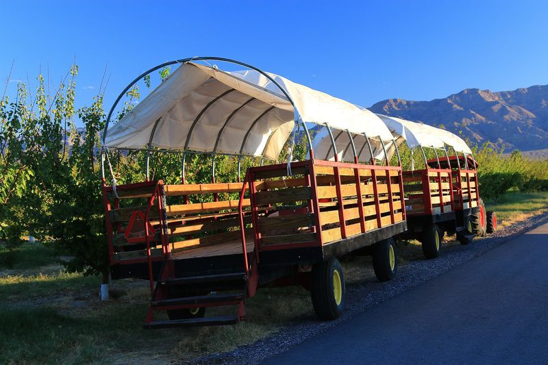 Wagon Rides, Mazes, And Other Field Adventures