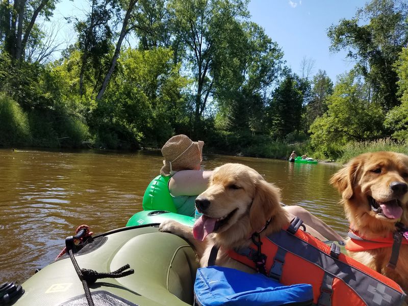 Cool Water And Shady Banks Make Summer Feel Better