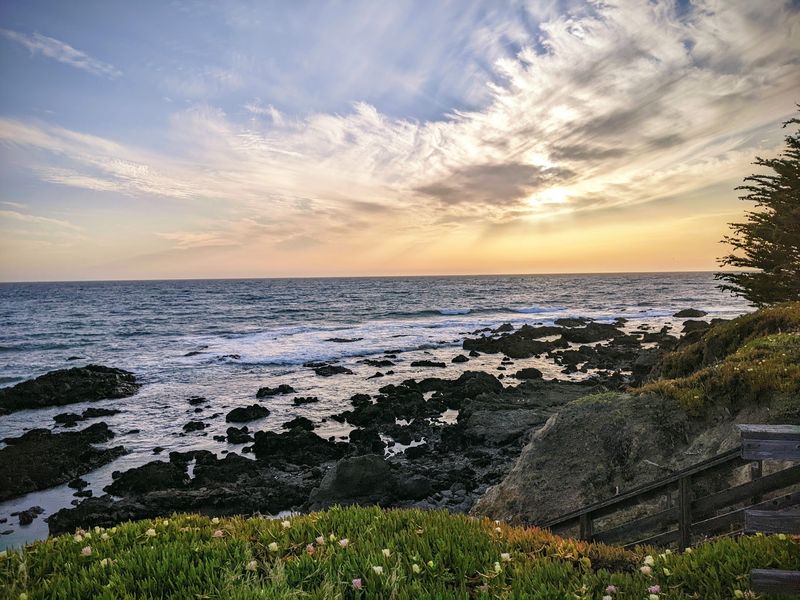 Pine Forests, Otters And Nearby Detours