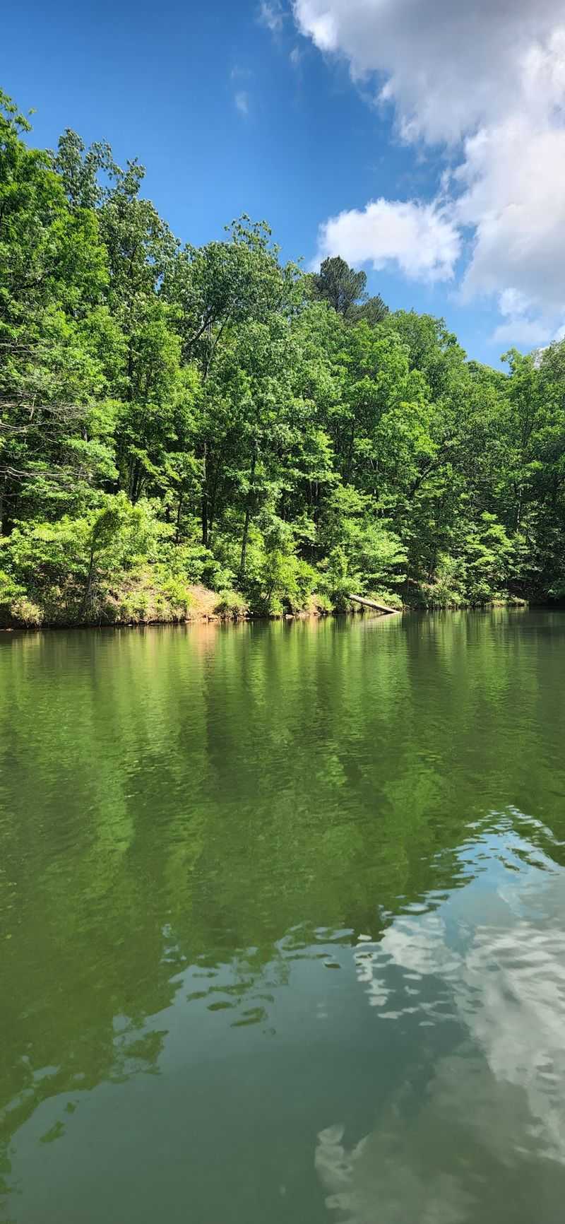 Bay Springs Lake