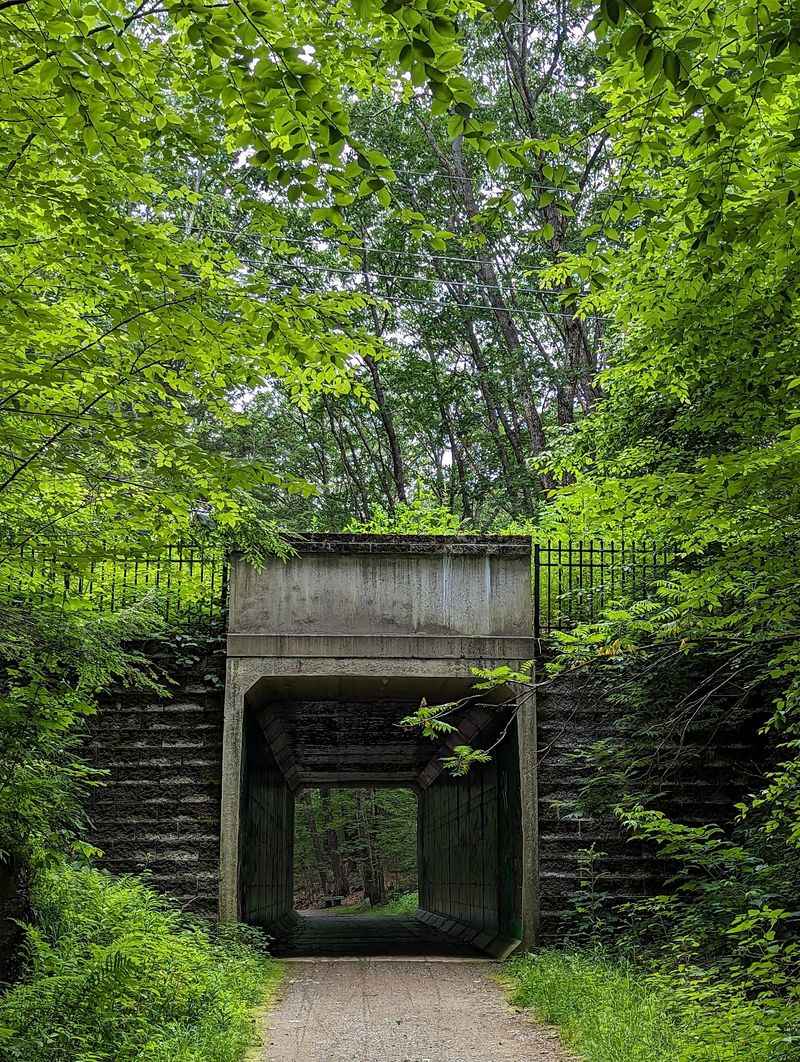 History Hidden In The Woods