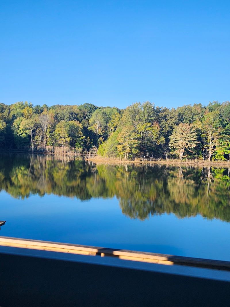 Fishing Opportunities In Tranquil Waters