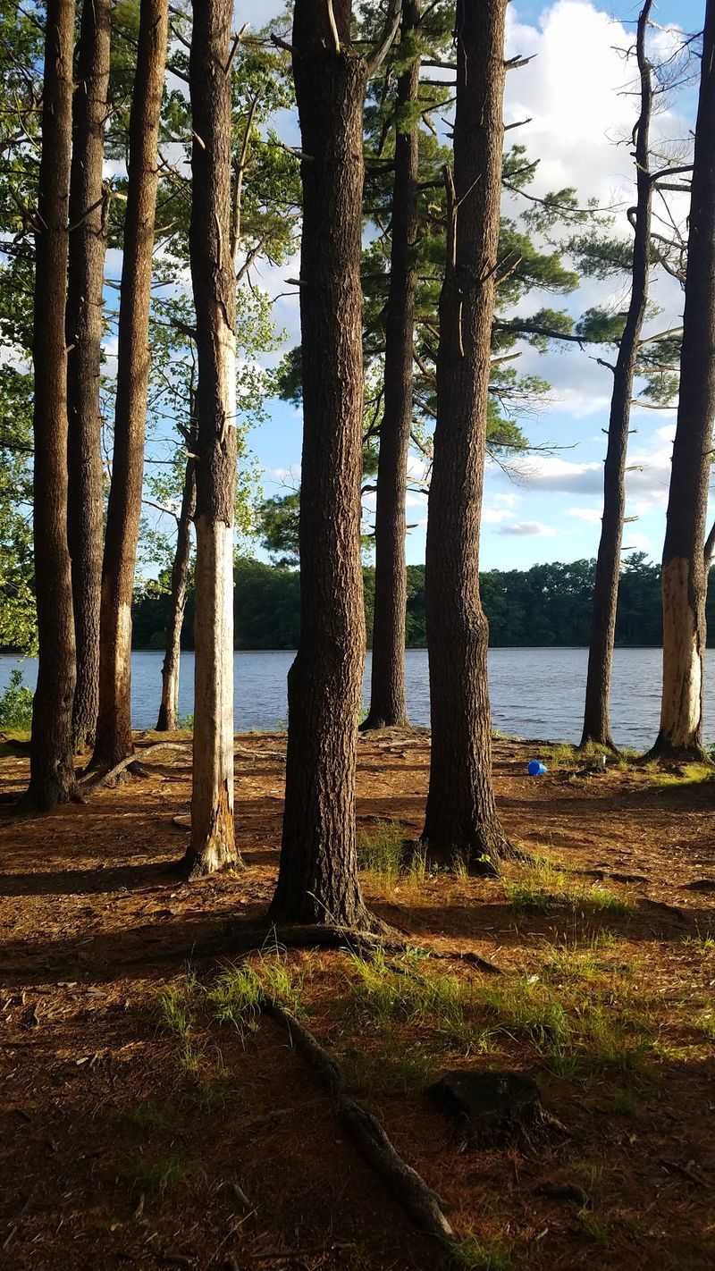 Trails That Reward Every Step