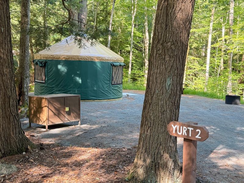 Wooded Campsites And The Yurt Upgrade