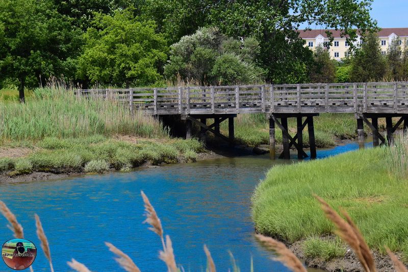 Belle Isle Marsh Reservation