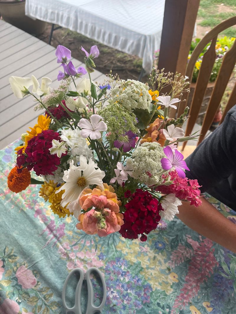 Pick Your Own Bouquet
