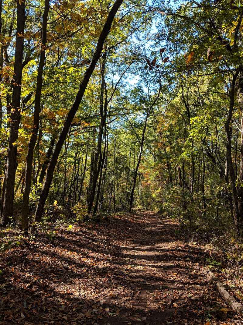 Waterloo State Recreation Area
