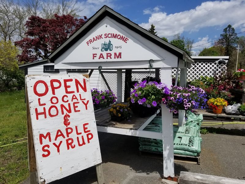 Scimone's Farm Stand, Concord