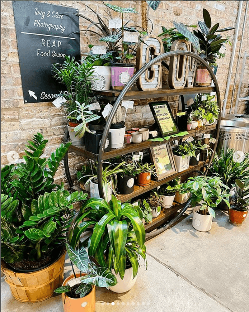 The Greenhouse That Runs On Trust