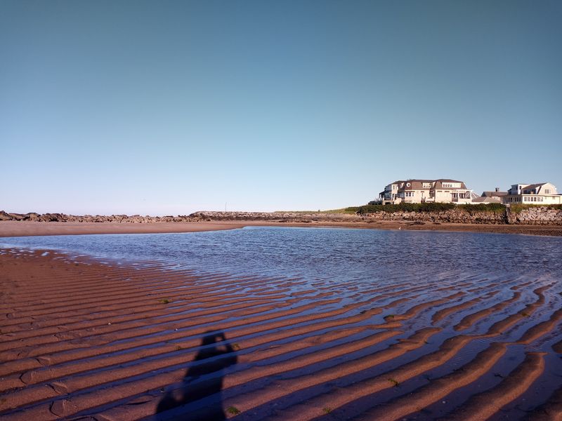 Dogs, Rules, And A Beach That Welcomes Both