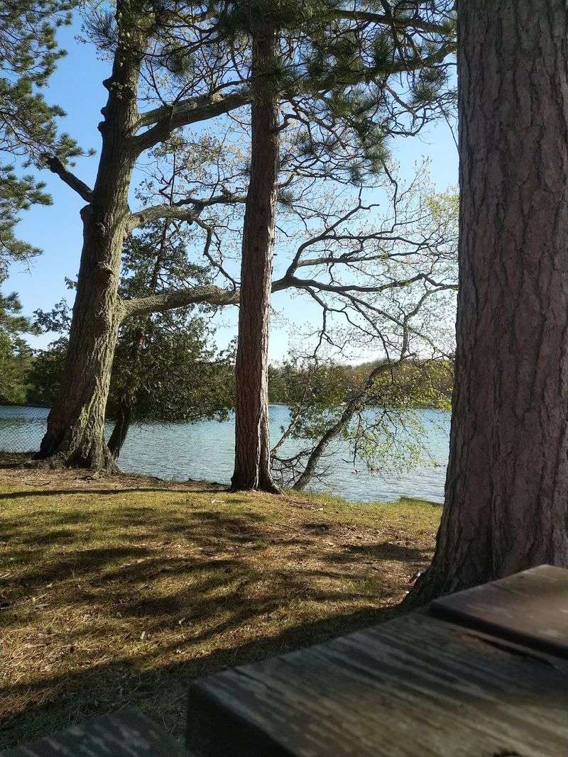 Island Lake Campground
