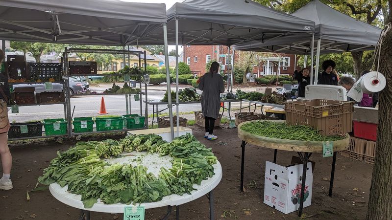SNAP Benefits That Stretch Twice As Far