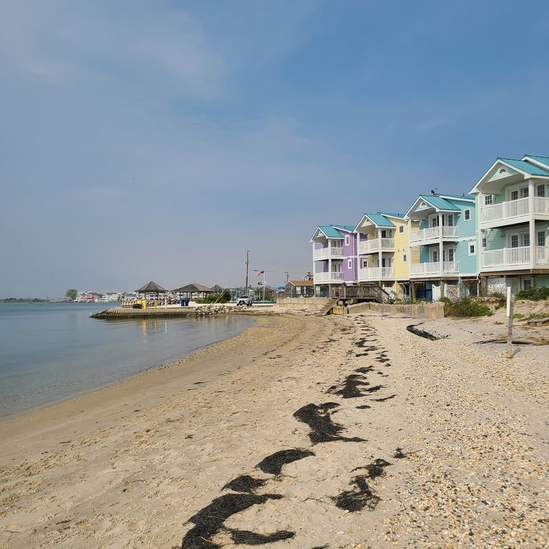 Beach Haven