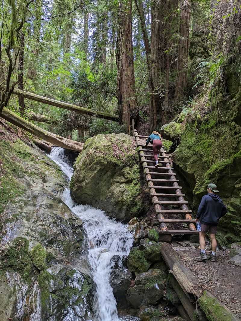 Mount Tamalpais State Park
