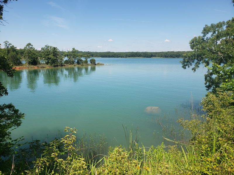 Wildlife Watching Opportunities Nearby