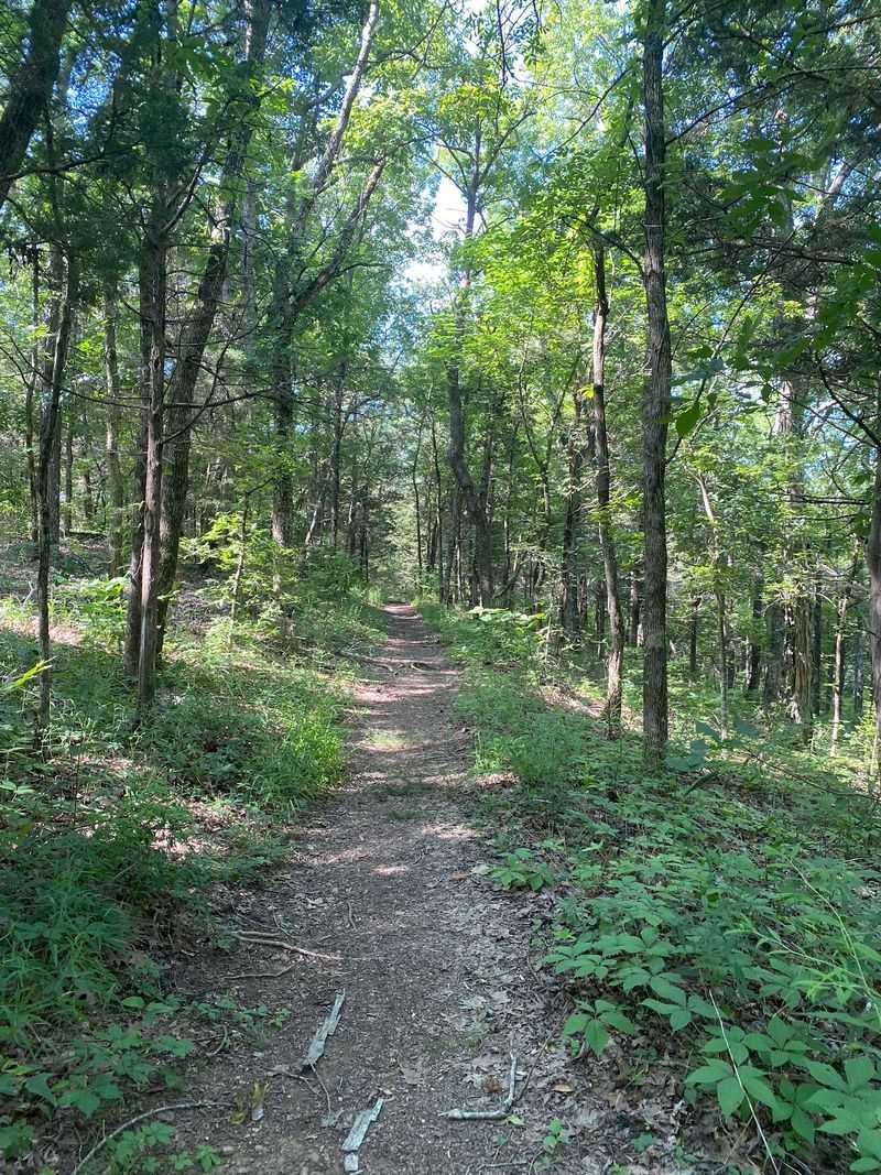 Scenic Hiking Trails Around The Lake