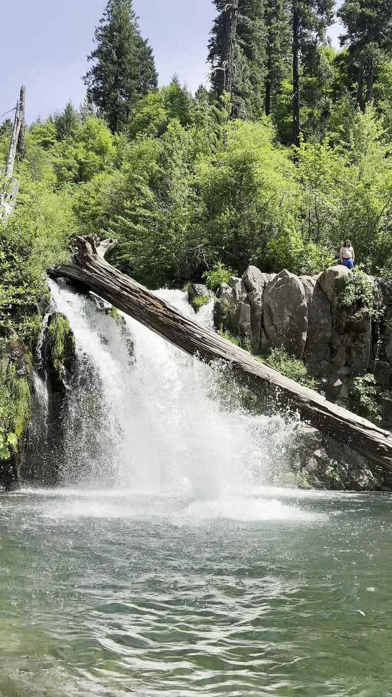 Hatchet Creek Falls, Shasta County, CA