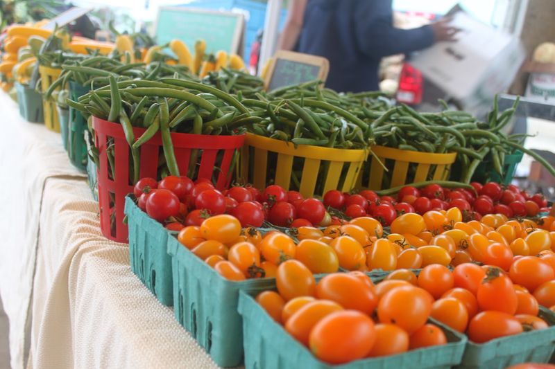 Plants And Garden Supplies For Green Thumbs