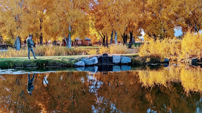 The Importance Of Sustainable Practices In Remote Lodging