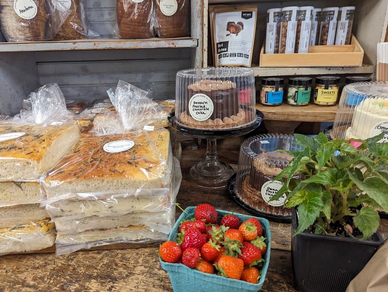 A Bakery Case That Slows Everybody Down