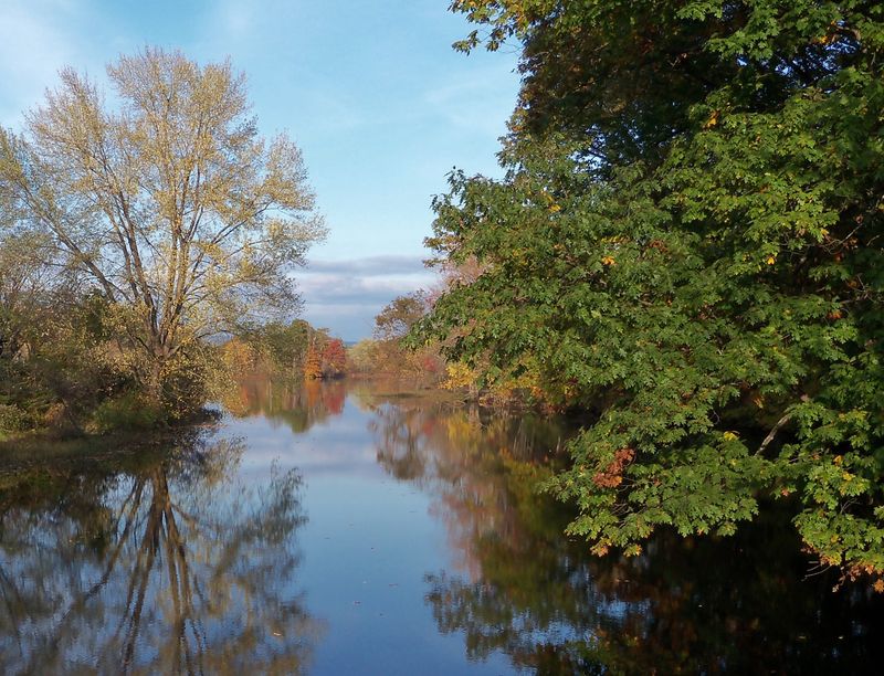 Birdsong And Quiet Wonders