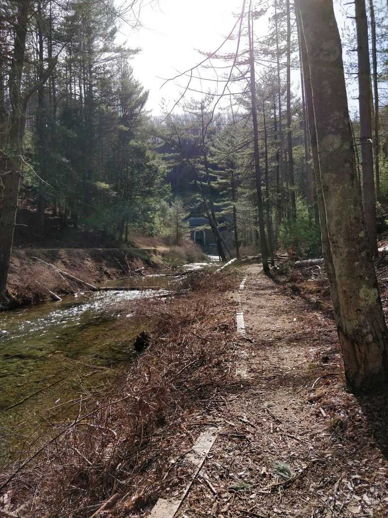 Trails, Gates, And Miles Of Quiet Forest Roads