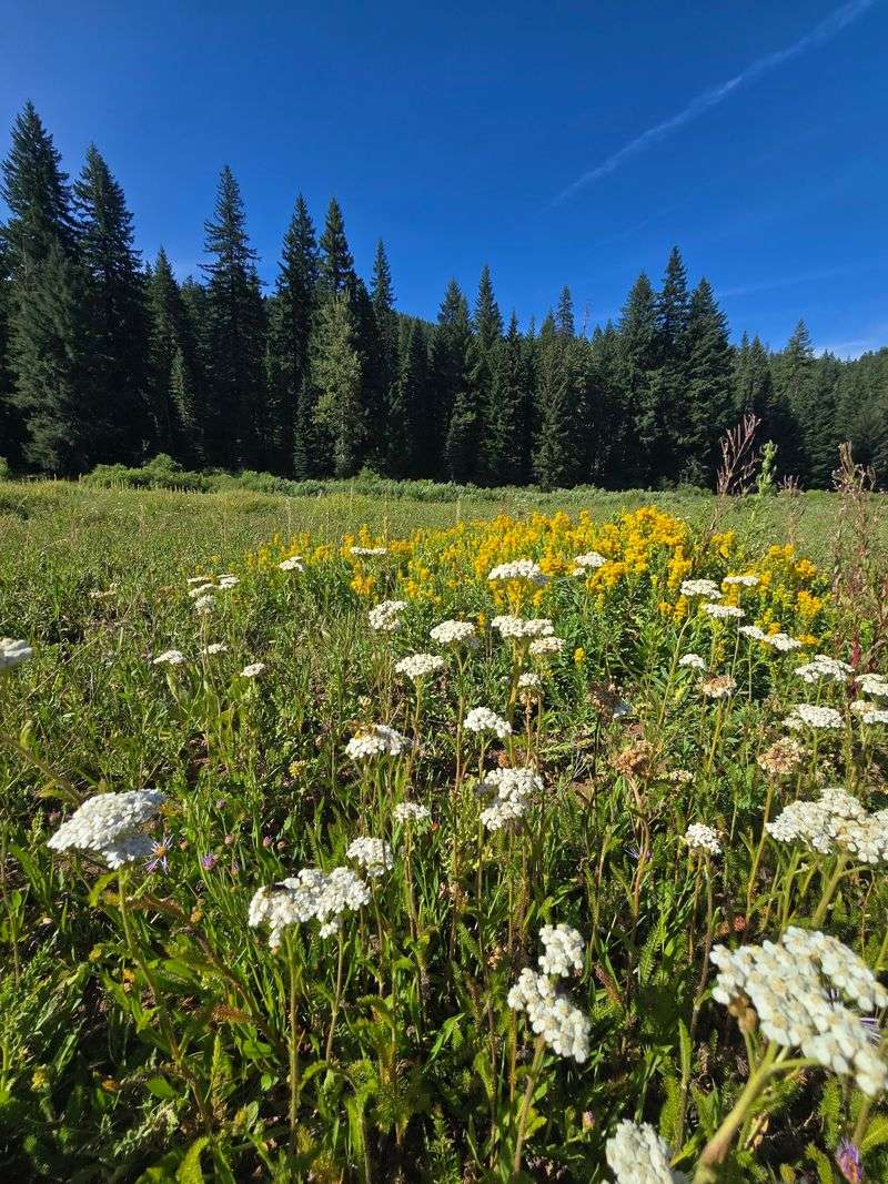 Short Trails, Big Views