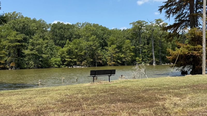 Picnic Tables Facing The Water