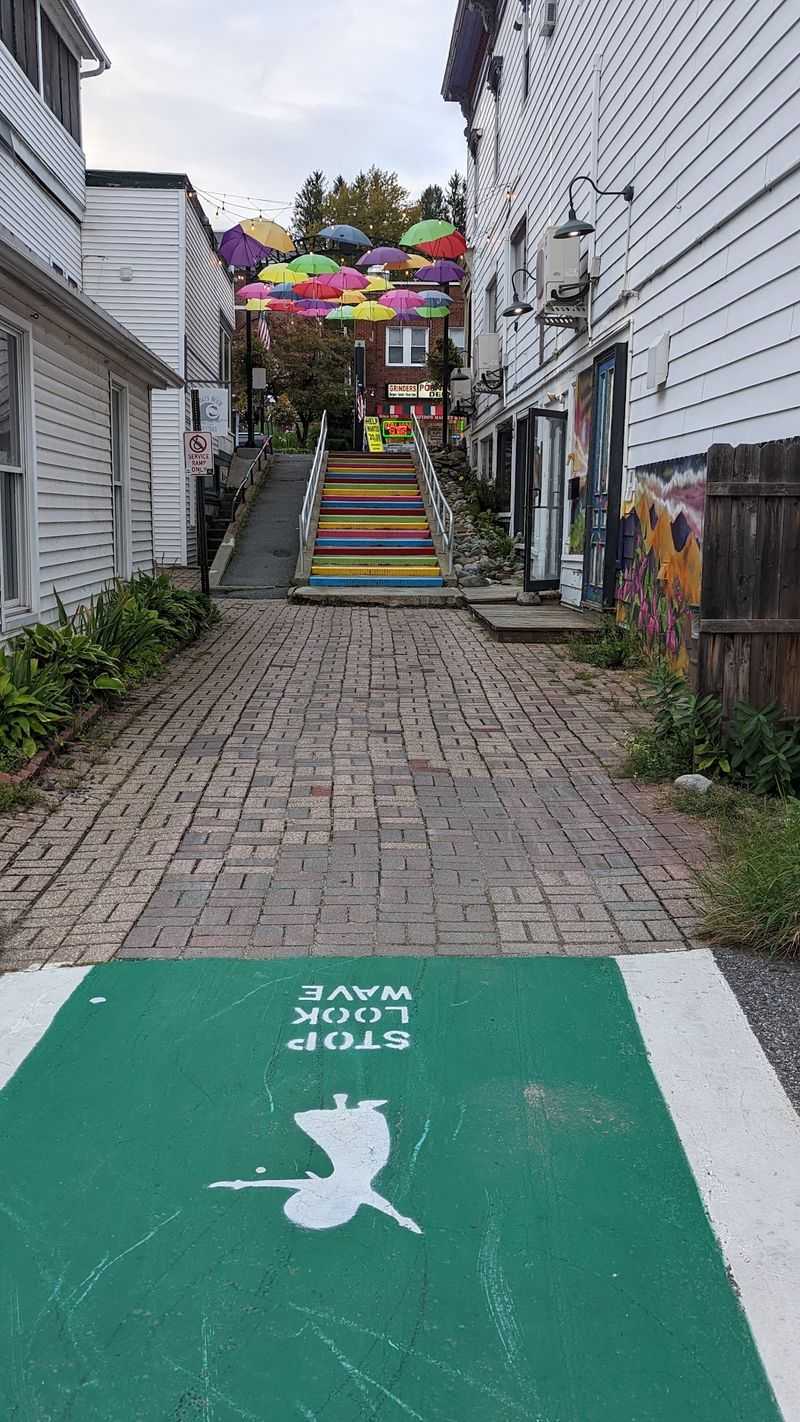 Opera House Nights And Sidewalk Art